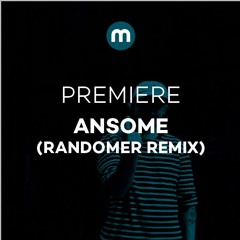 Premiere: Ansome 'Back Alley Sally' (Randomer Remix)