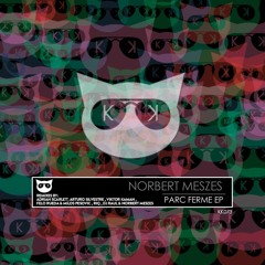 Norbert Meszes - Go Straight Ahead (VIKTOR KAMAN Remix) [Kool Katz Recordings]