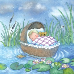 06 Apriti Notte Animaletti
