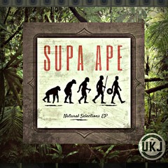 5. Supa Ape - Fly - Out Now on UKJ ... BUY LINK IN DESCRIPTION