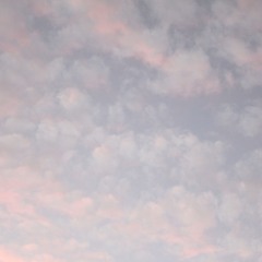 Skinny Love [Bon Iver cover]