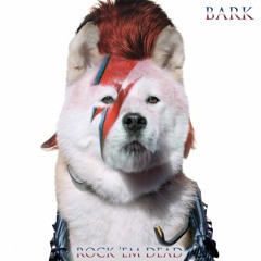 Bark - Rock Em Dead