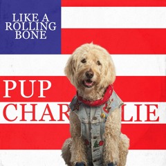 Charlie - Like a Rolling Bone