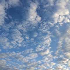 In Tha Krossphire [Bumpin version]