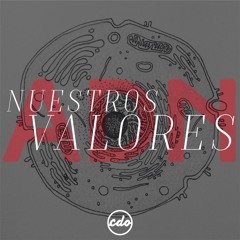 ADN Nuestros Valores | Ps José López | 07 Agosto 2016