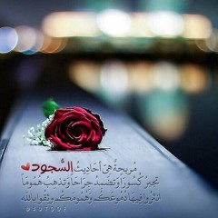 سورة الطارق هزاع البلوشي