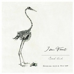 Premiere: I am Frost - Escape Route (Original Mix) [Tach & Nacht]