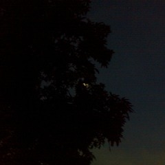 আজ এই বৃষ্টির কান্না দেখে