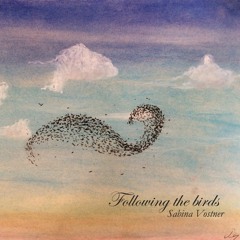 FOLLOWING BIRDS feat. Sabina Vostner