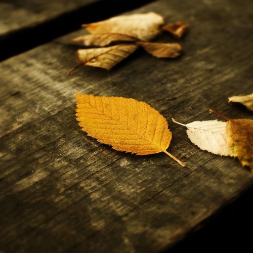 Autumn's Solace (Triphop)