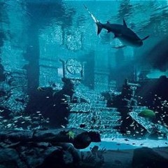 Phuture-T - Atlantis  (Summer2016 Re-up LTD Download)