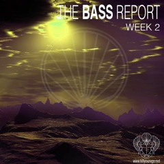 The BASS Report - Week 2 - Hosted & Mixed by RUN DMT