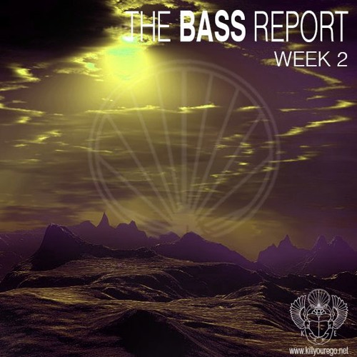 The BASS Report - Week 2 - Hosted & Mixed by RUN DMT