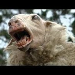 Dead Sheeple ft J3443ONE produced by Nick Da Lunatic (2016)