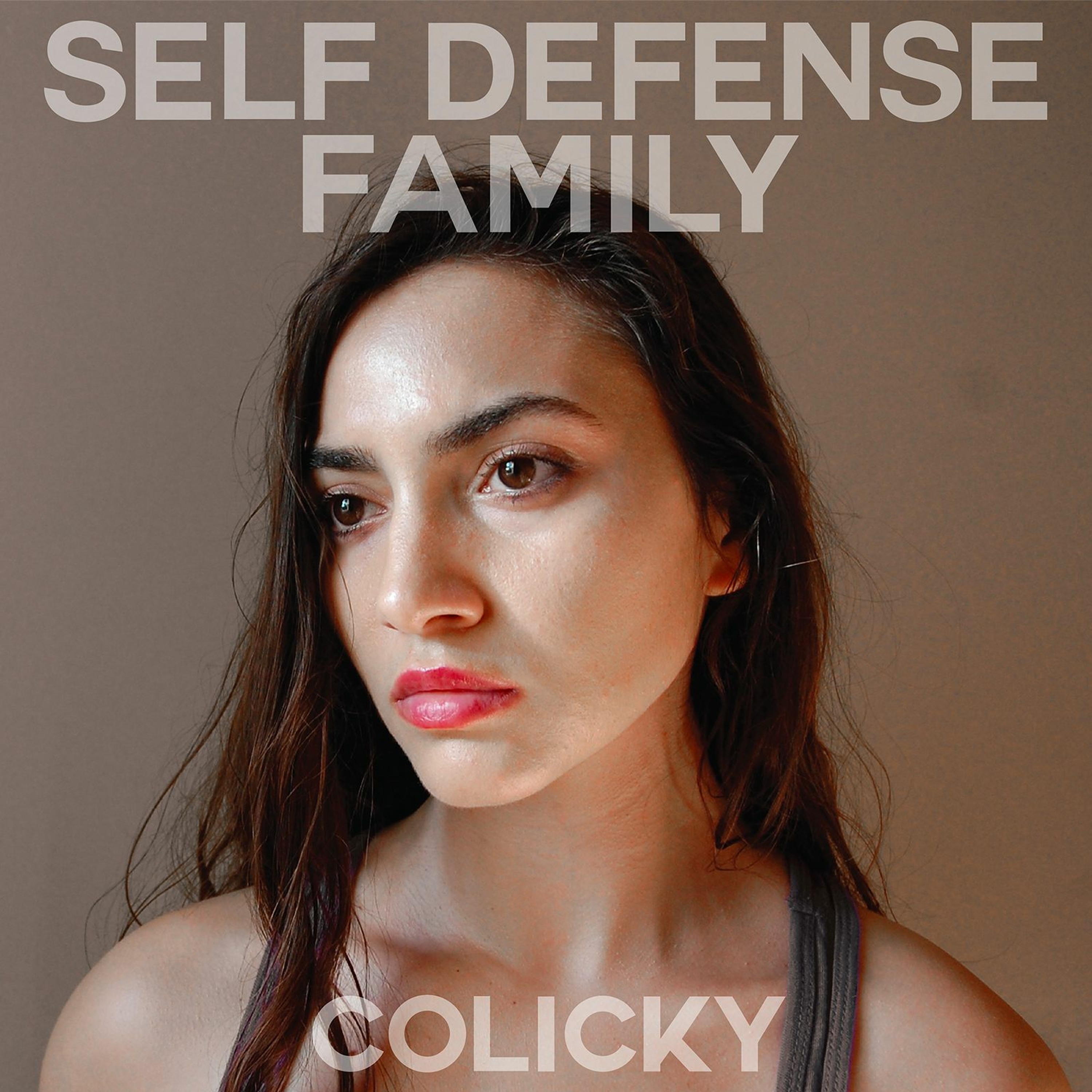 Self Defense Family - "It Isn't Very Clear, Is It?" episode artwork