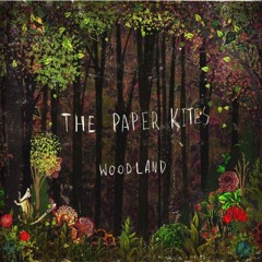 Bloom (The Paper Kites)
