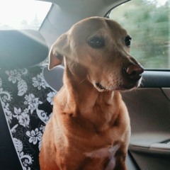 u can do anything   that u would ever want to or ever have wanted to do  in ur whole life  ever