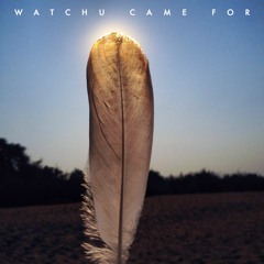 Watchu Came For