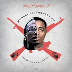 Tang ft. Baby j - Monkey see monkey do.mp3.mp3