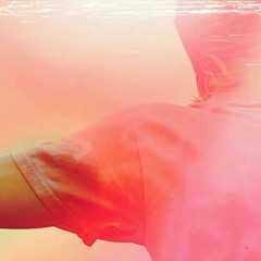 Nobody's Bird (rough version)