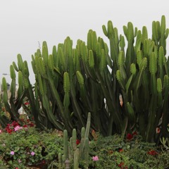 the digital world corrupts me_