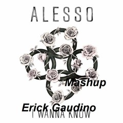 Alesso Vs Kick The Bass - I Wanna Know (Erick Gaudino Mashup)