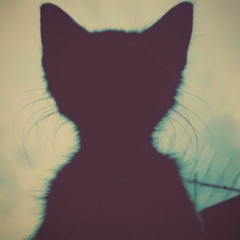Shadow (Original Mix)