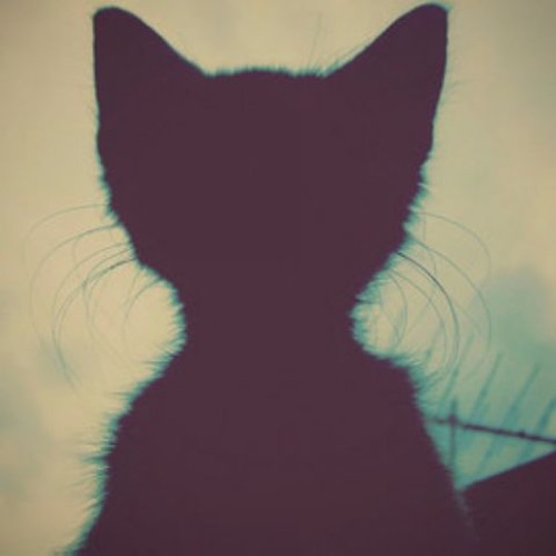 Shadow (Original Mix)