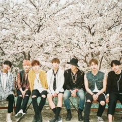 [BTS] 방탄소년단 '화양연화 ONSTAGE'   Concert VCR
