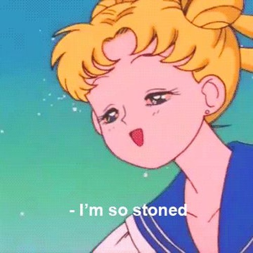 Stay In Drugs, Don't Do School.