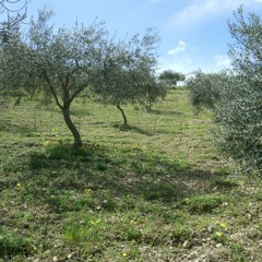 La Verità E L'Unità -17 Ago16