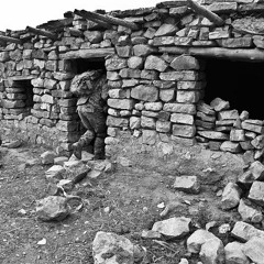 How Many Times (128)