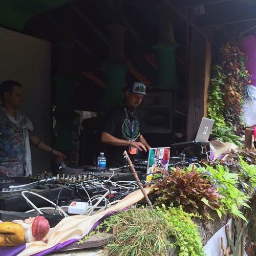 Theo Tzu - Live @ Shambhala 2016