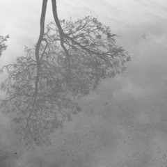 Temporal
