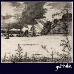 Yndi Halda - Illuminate My Heart, My Darling