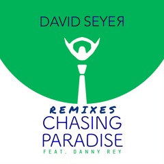 Chasing Paradise (feat. Danny Rey) [Krypt1k Remix]