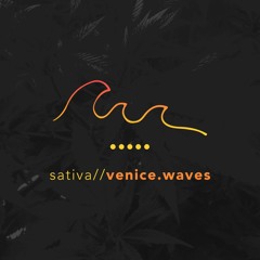 sativa//venice.waves