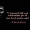 (Marvin Gaye & 6th Borough Project Just A Memory Through The Grapevine Leewise Remix)