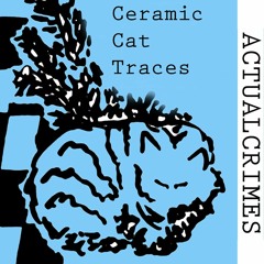 Actual Crimes - I Don't Want To See