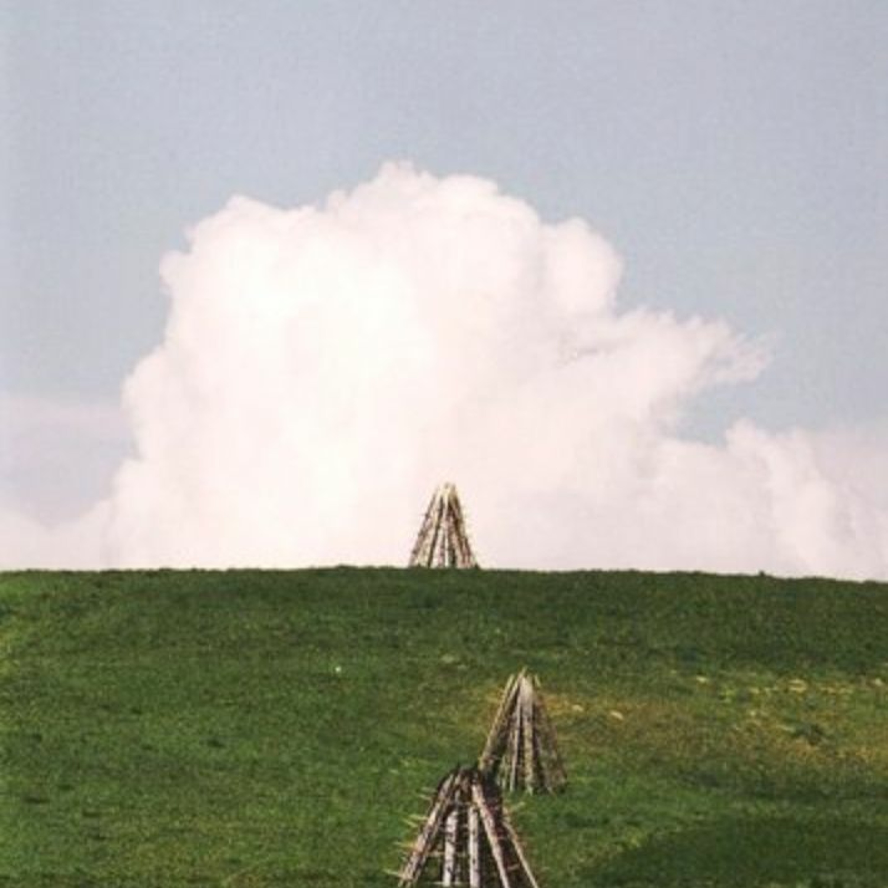 Lesostep (Forest Steppe)