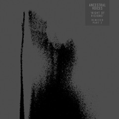 Ancestral Voices - Sleepless Ritual (Samuel Kerridge Remix)· Samurai Horo