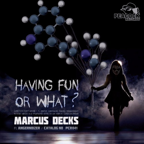 Marcus Decks - Having Fun Or What