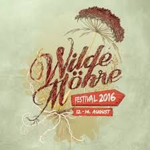 AantiGen @ Wilde Möhre Festival 2016