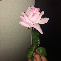 ❄️Lowkey Chillen❄️