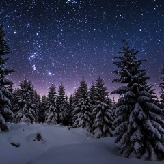 Gute Nacht - (Franz Schubert) sung by Dennis Tschirner