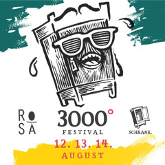 Oleg Maximov @ 3000 Grad Festival 2016