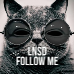 LNSD - Follow Me [Techno]