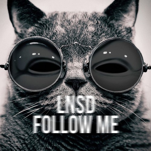 LNSD - Follow Me [Techno]