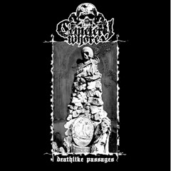 Cemetery Whore - Gonorrhea (rec, mix, master)