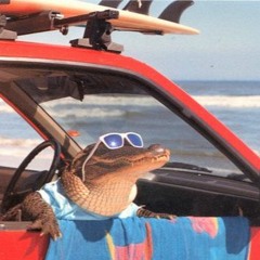 Play It Cool